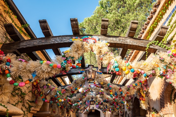 Disneyland
