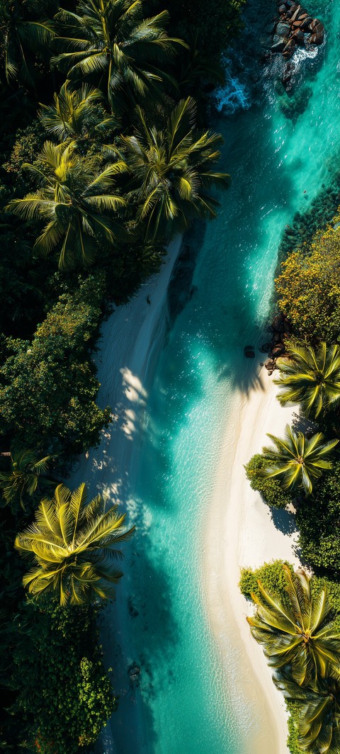 bay, caribbean壁纸