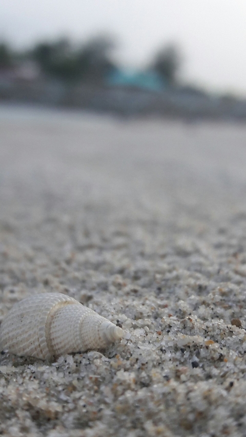 at the sea