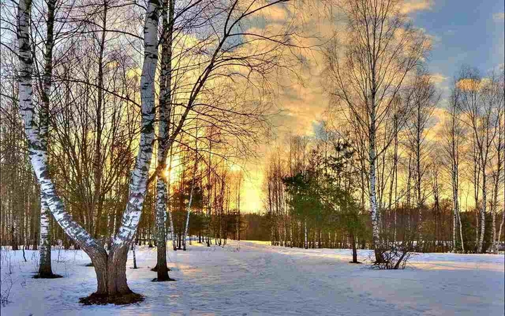 аллея