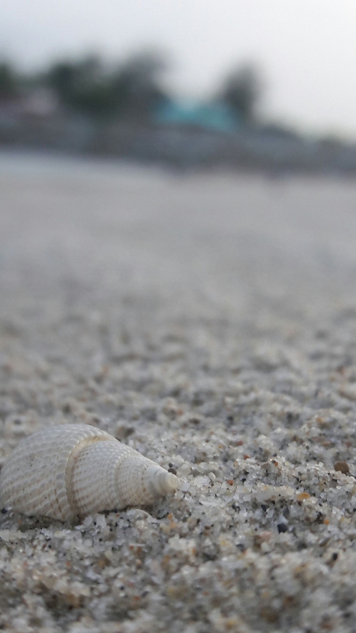 at the sea