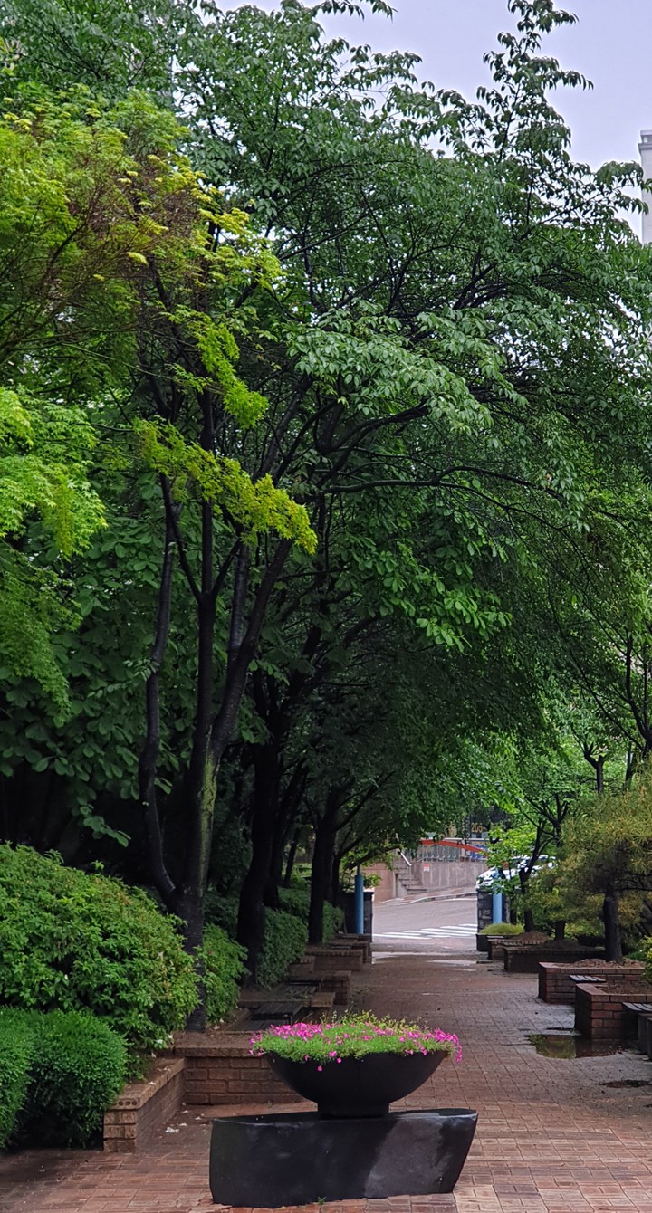 산책길