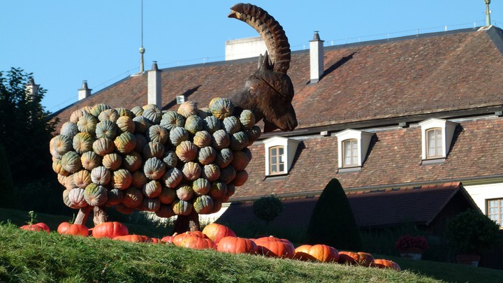 Kürbis Ausstellung Blühendes Barock Schloss Ludwigsburg 2012