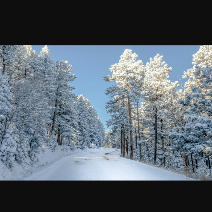 snow covered image..
