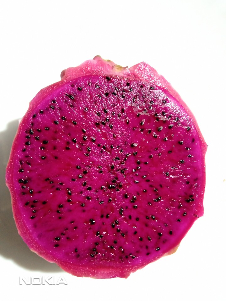 fruit