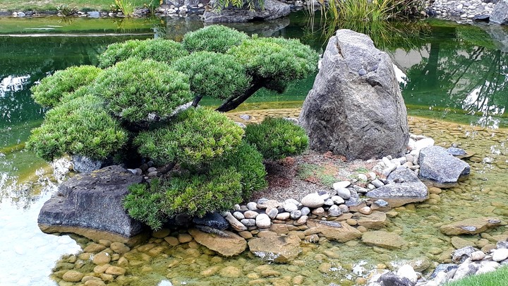 japanese garden