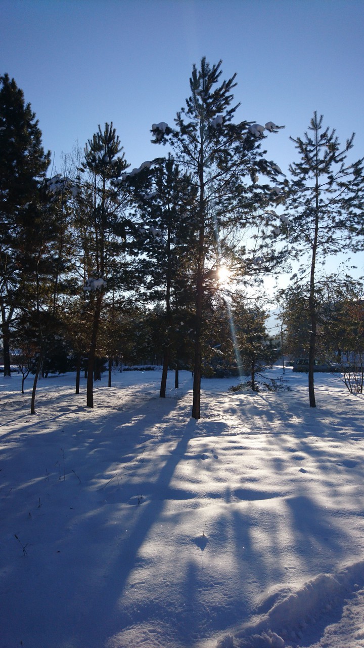 winter sun