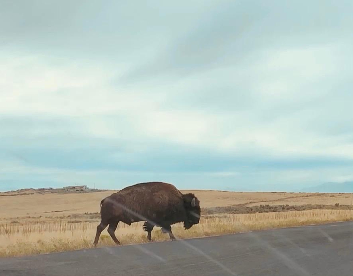 Utah