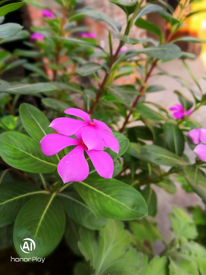 my click