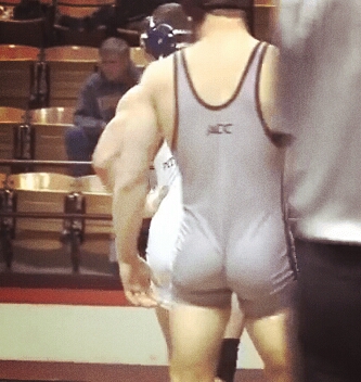 wrester