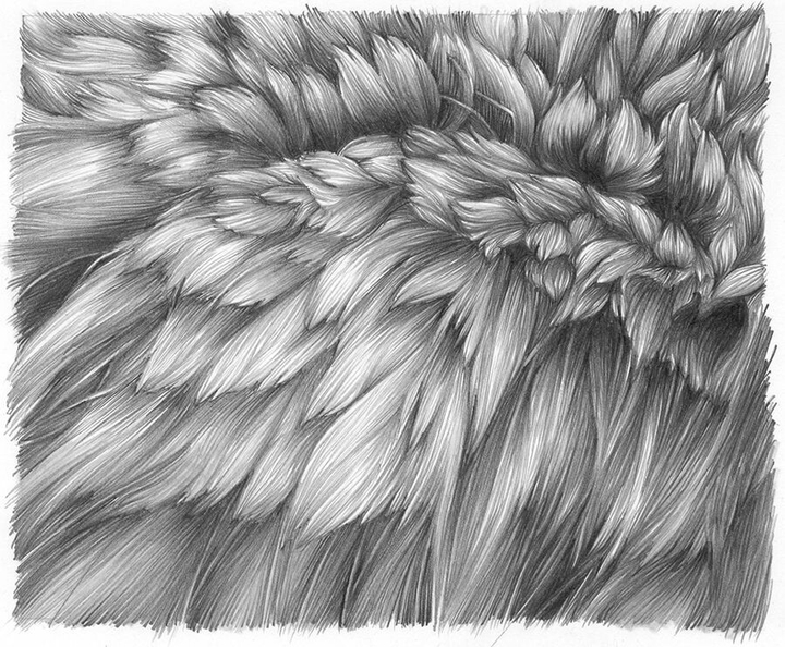 Fur