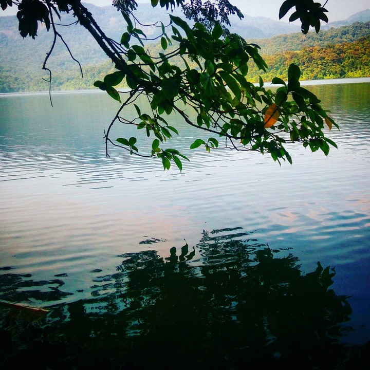 lake view