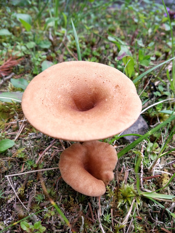 ?