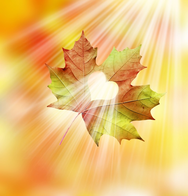 autumn