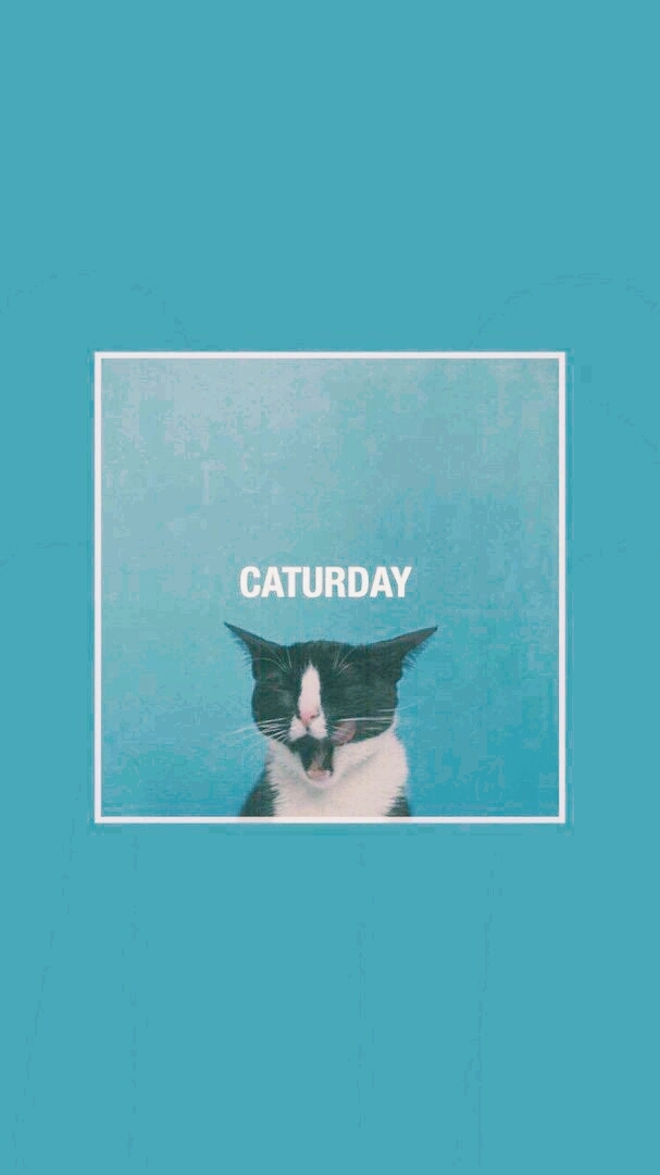 caturday