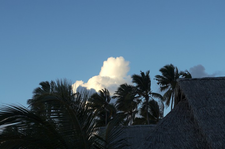 Africa