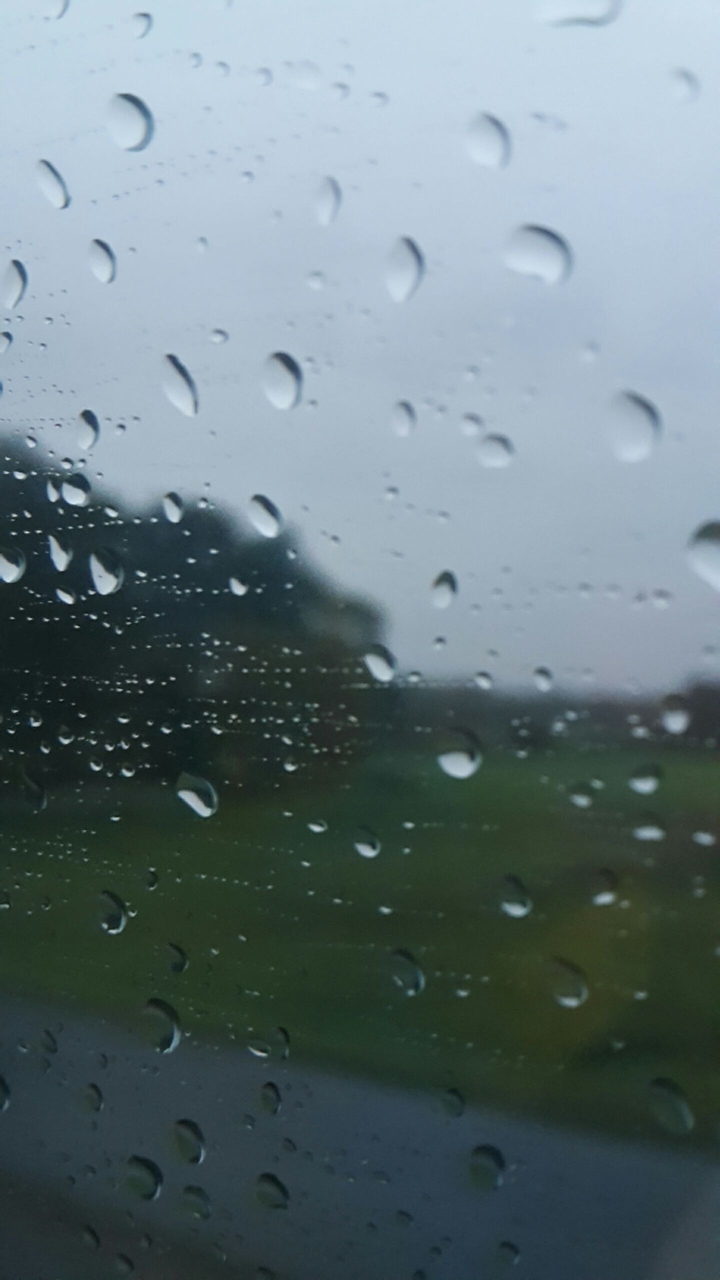 Rain...