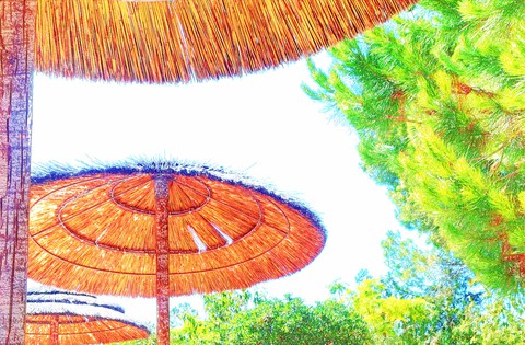 Summer