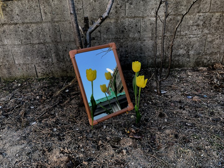 mirror