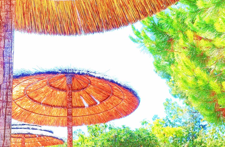 Summer