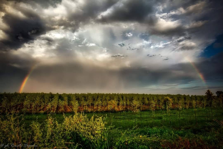 Campagna Lodigiana