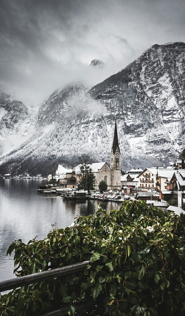Winter panorama