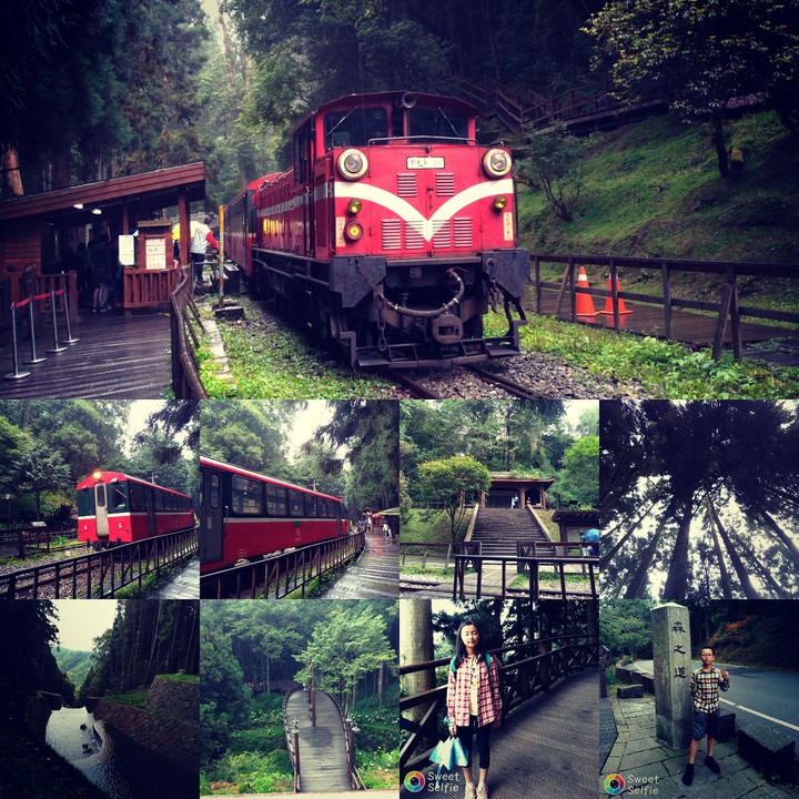 台灣阿里山森林國家公園