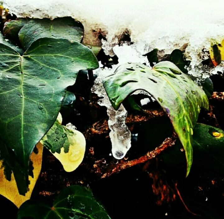melting snow