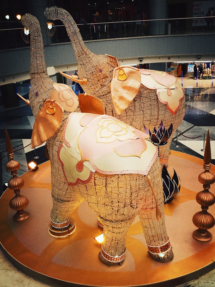 Elephant