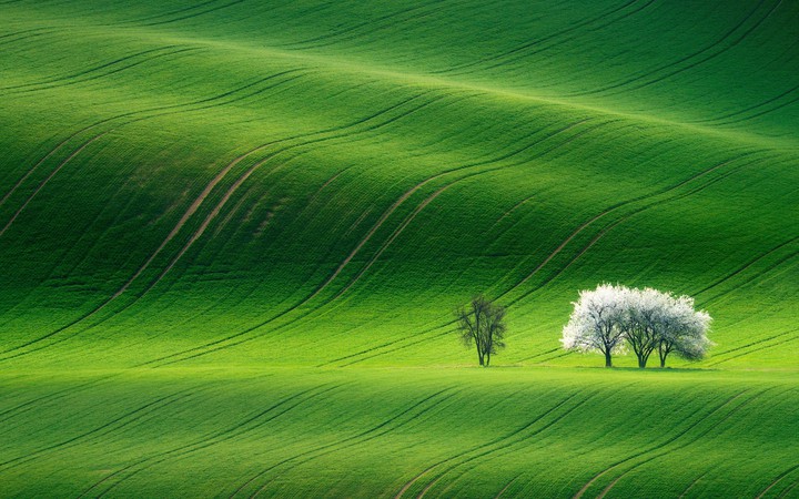 nature