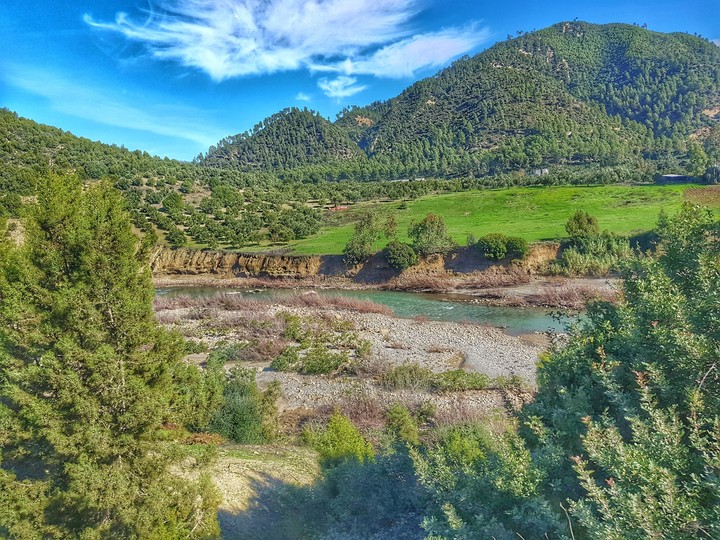 nature