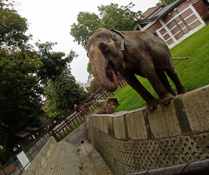 Zoo