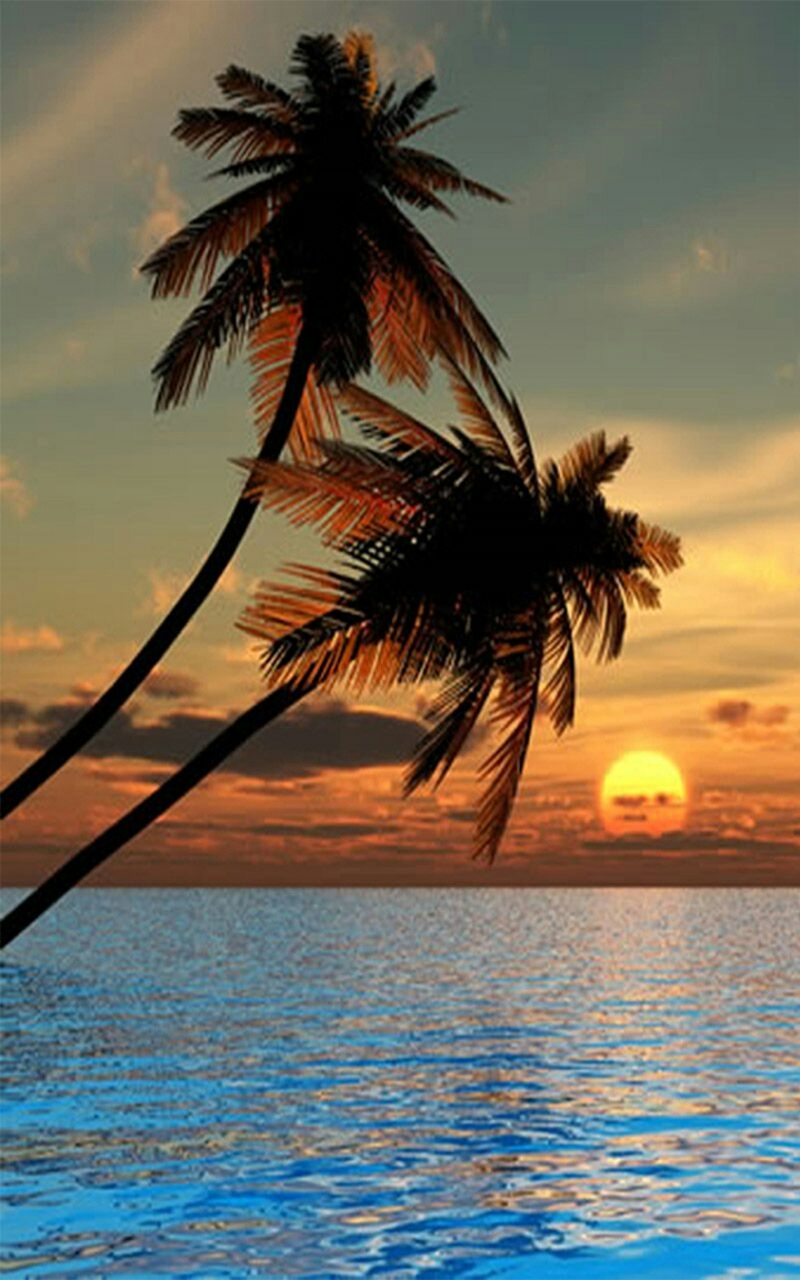 Sunshine