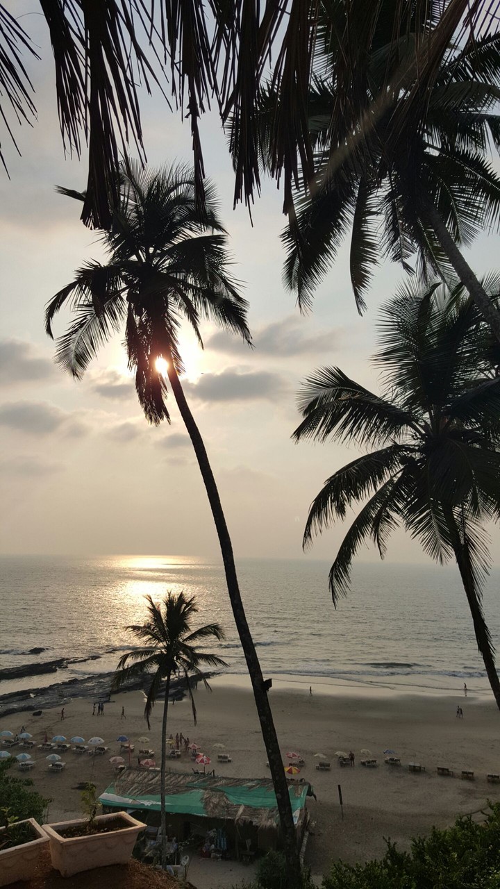 Beautiful Sunset