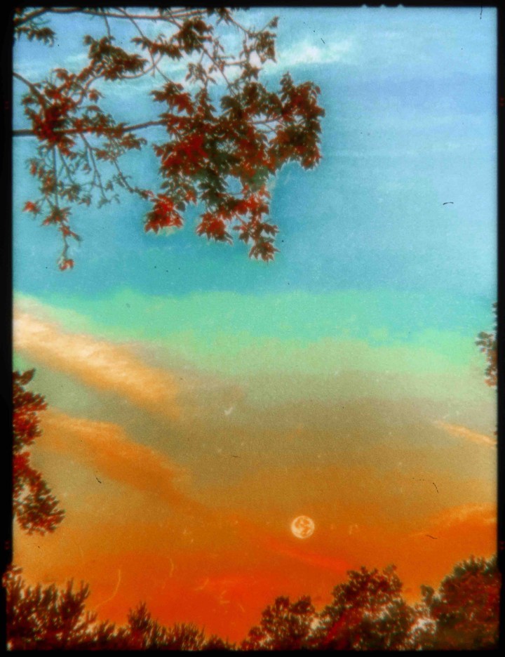 toasted moon