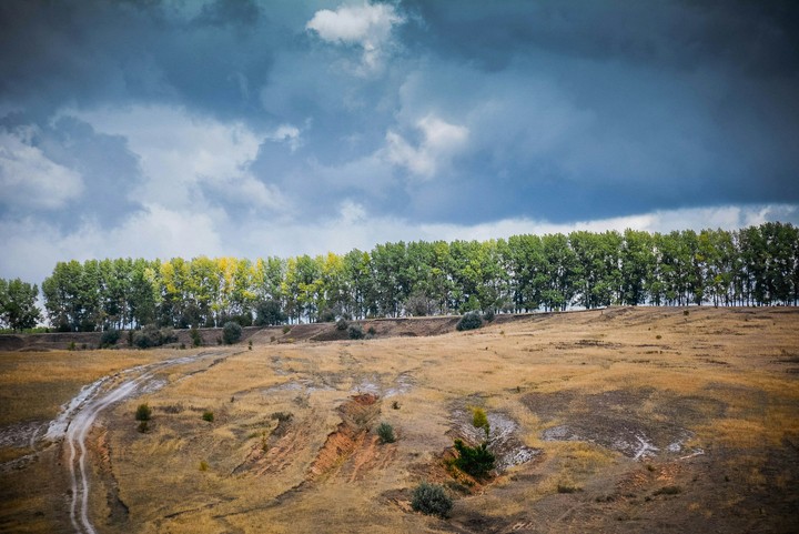 Road