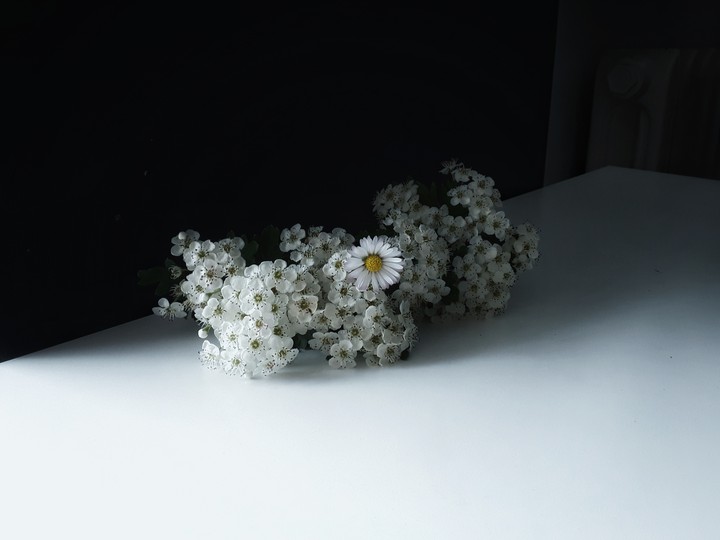 Flower 3