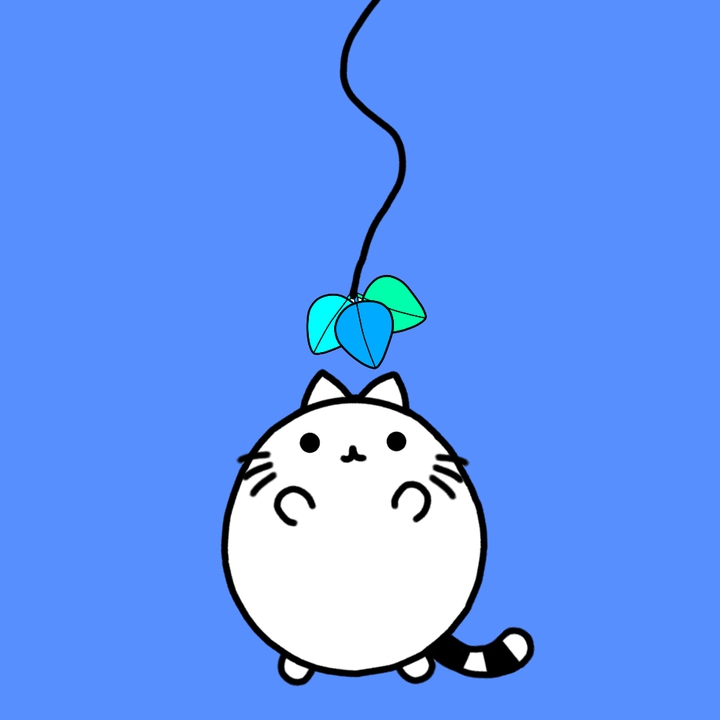 장난감을 보고 노는 몽냥이