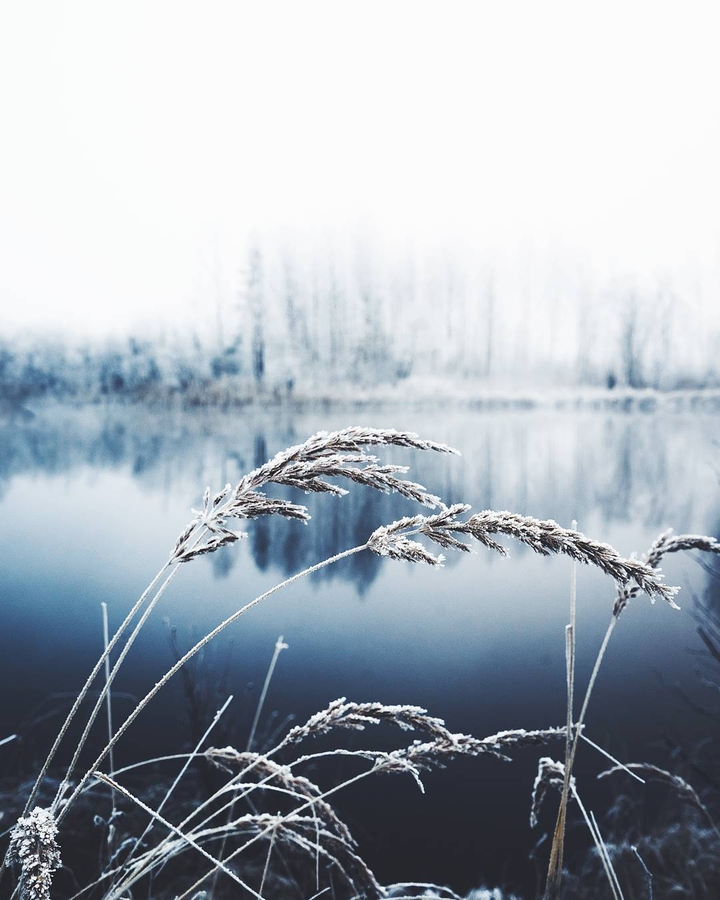 Winter is coming