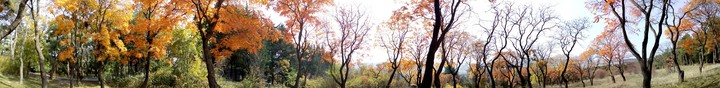 automn panorama