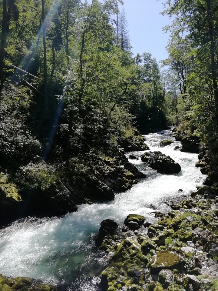 in the nature