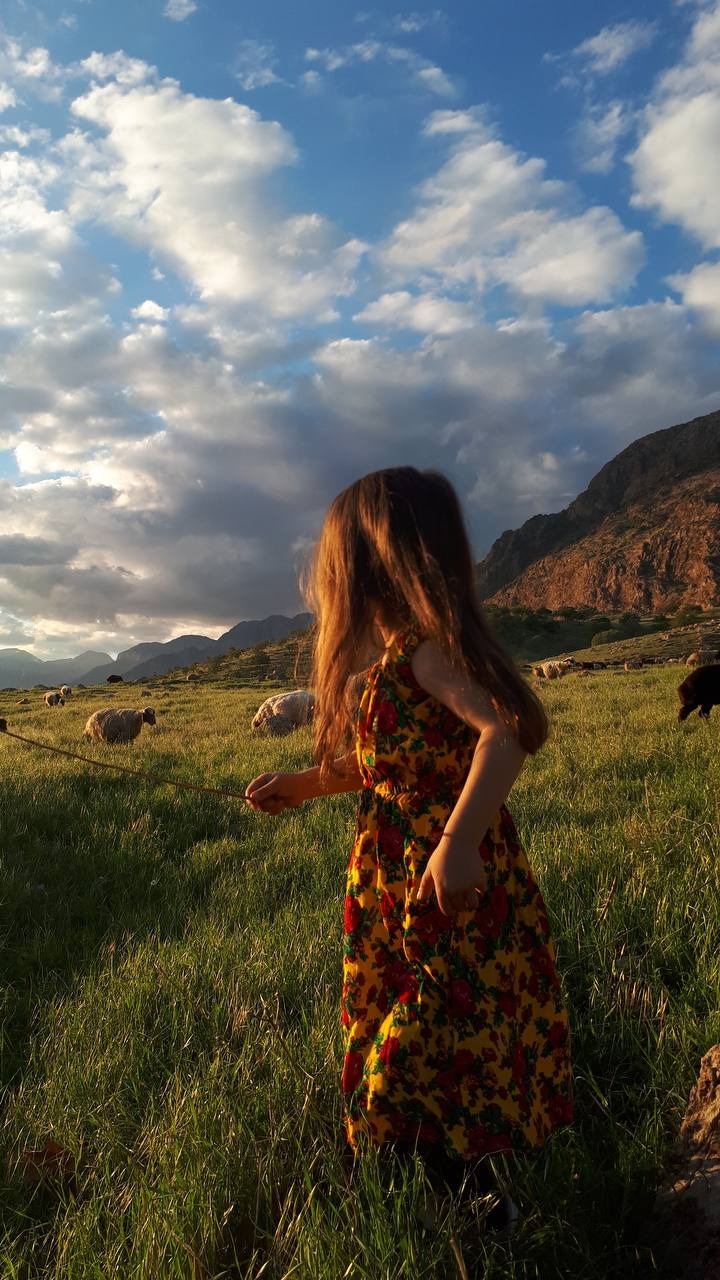 shrubland, sunlight duvar kağıtları