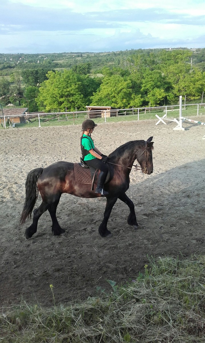 Ride a horse