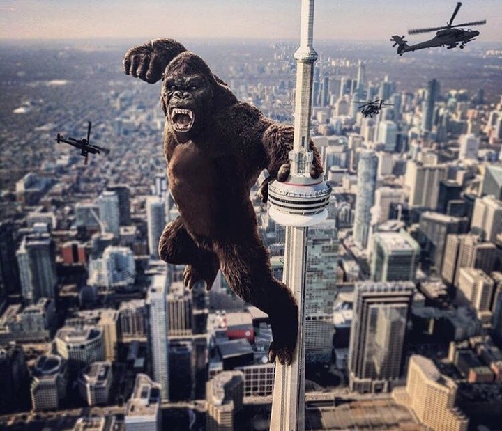 Kong