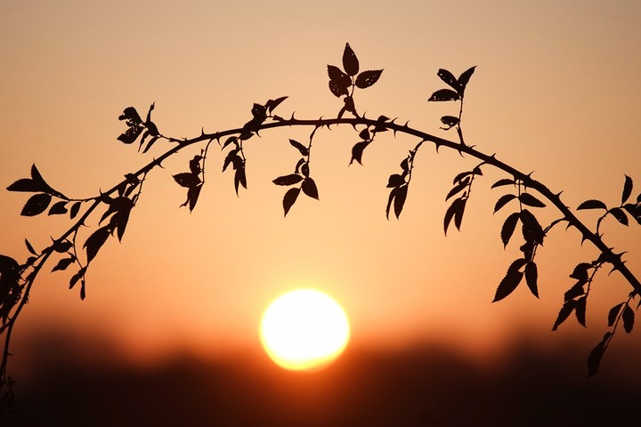 Sunrise