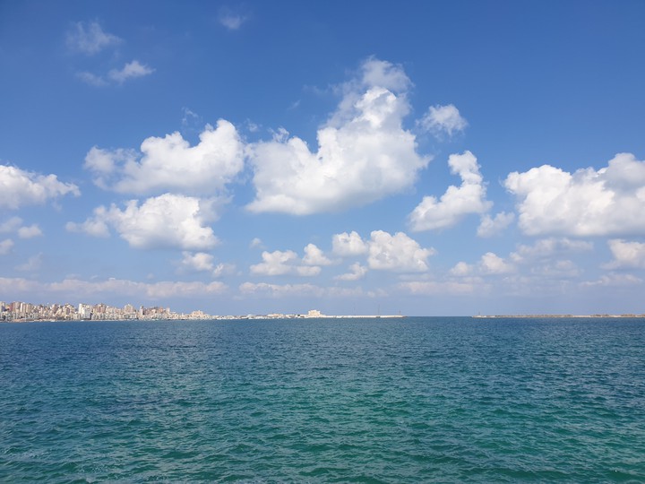 alexandria