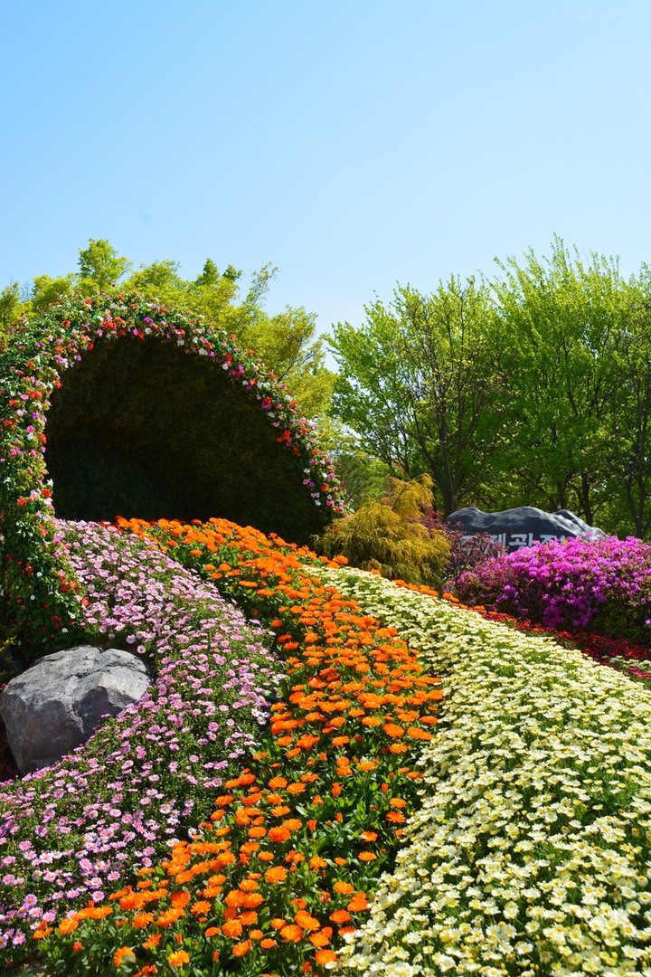 flowers