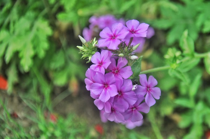 #bokeh