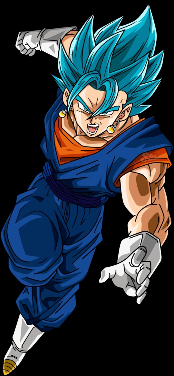 vegetto