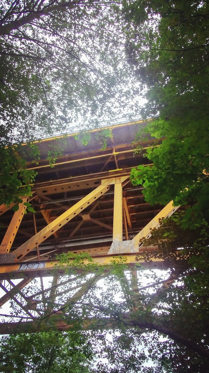 below the bridge